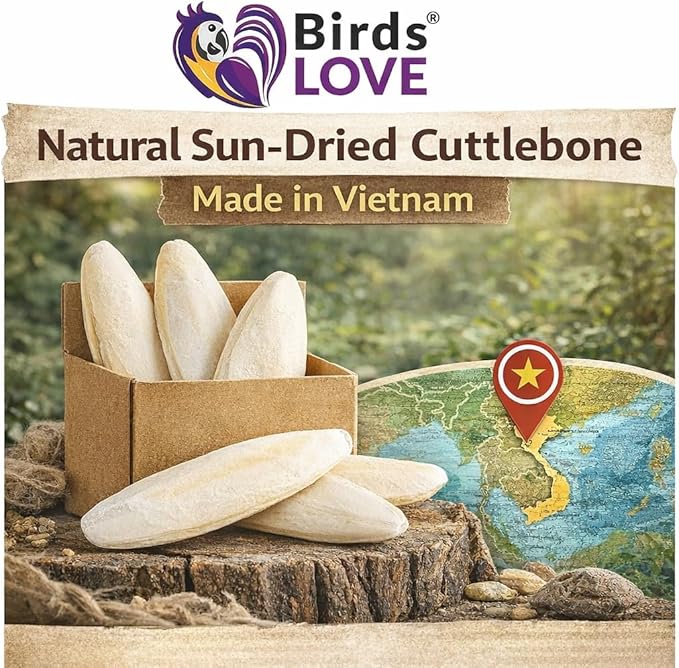 Birds LOVE 3.5-4″ Cuttlebones for Birds – 100% Natural Sun-Dried Calcium Carbonate Mineral Supplement – for Parakeets, Budgies, Cockatiels, Finches & Canaries – 12 Pack with Holder – Made in Vietnam