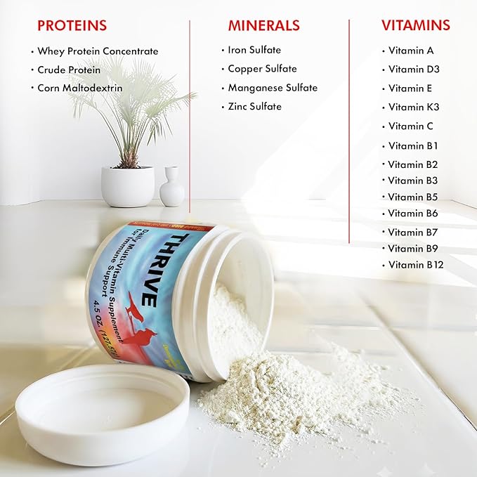 Morning Bird Thrive 4.5 oz – Daily Multi-Vitamin Bird Supplement for Immune & Recovery Support – Ideal for Sick, Injured, or Recovering Birds – Energy & Wellness Formula for Adult Birds