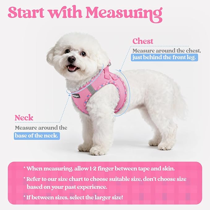 rabbitgoo Dog Harness Small Sized and Leash Set, Step in Soft Light Puppy Vest, Breathable Mesh Pet Harness, Reflective for Safe Easy Walking, Pink & Plaid Trim XXS