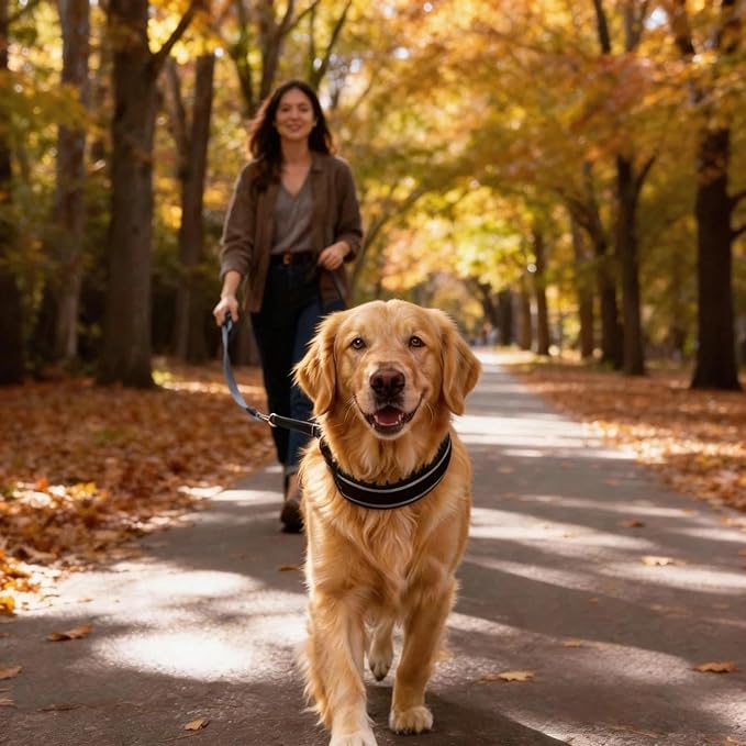 Lightweight Prong Collar for Dogs, Reflective No Pull Dog Collar | Adjustable Size Dog Pinch, Breathable Woven Fabric Air Grid Technology, Martingale Collar for Dogs Training(Black-XL)