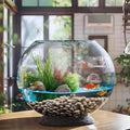 MANON ROSA Turtle Bowls Round Ecological Tank Container Clear Aquarium Habitat Small Desktop Home for Hydroponic Plants Fish Starter Choice (M(7.9" D))