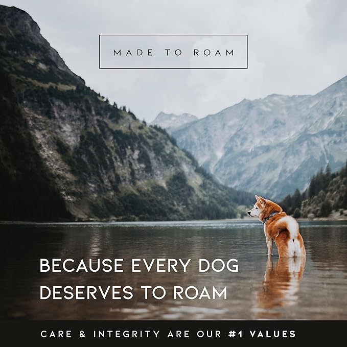 MADE TO ROAM Premium Explorer Harness - Y-Shaped Dog Harness with Adjustable Durable Nylon, Soft Padding, Metal Buckles and Leather Handle for Small, Medium, Large Dogs (Nevada Evening, Size 4)