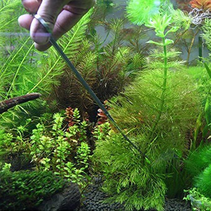 balacoo 4pcs Stainless Steel Aquatic Plant Tool Set Ergonomic Tweezers and Scissors for Aquarium Straight Curved Tweezers Curved Scissors Spatula for Planting and Caring for Water Plants
