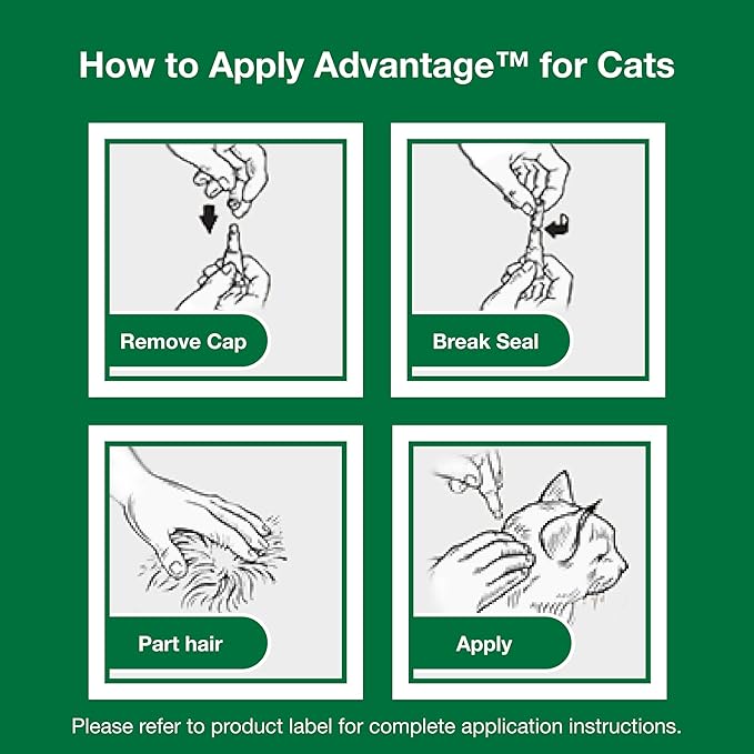Advantage Topical Cat Flea Treatment and Prevention for Large Cats Over 9 lbs. | Apply Flea Drops Monthly | 2 Treatments (Pack of 2)