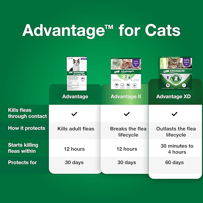 Advantage Topical Cat Flea Treatment and Prevention for Large Cats Over 9 lbs. | Apply Flea Drops Monthly | 2 Treatments (Pack of 2)