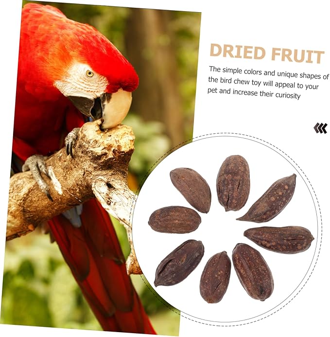 8pcs Parrot Foraging Toy Natural Dried Fruit Chewing Toys Bird for Cage Parrot Chewing Bird Bite