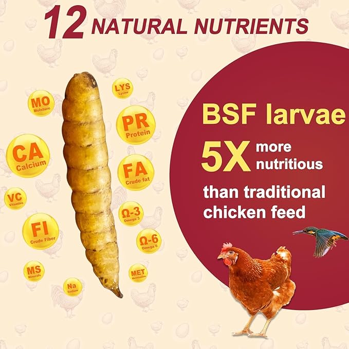 DE AVILA 2.5LB Dried Black Soldier Fly Larvae for Chickens Bulk, Non GMO 86X High Calcium Grubs Than Meal Worms for Laying Hens,100% Natural BSF Larvae for Chicken Wild Bird Treats