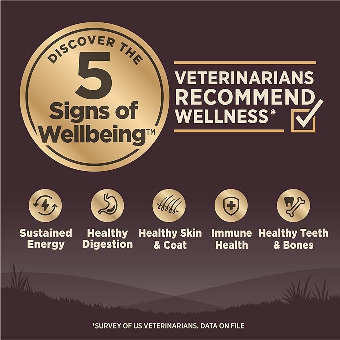 Wellness CORE Adult Dry Dog Food, Grain Free Kibble, Natural, High Protein, Turkey and Chicken Recipe, 26 lb Bag