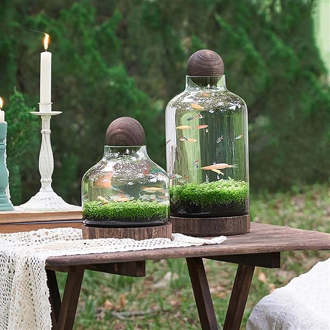 Ecological Aquarium Glass Fish Tank with Wooden Base Micro Landscape Self-circulating Hydroponic Plant Bottle Fish Bowl/Vase(L, B)