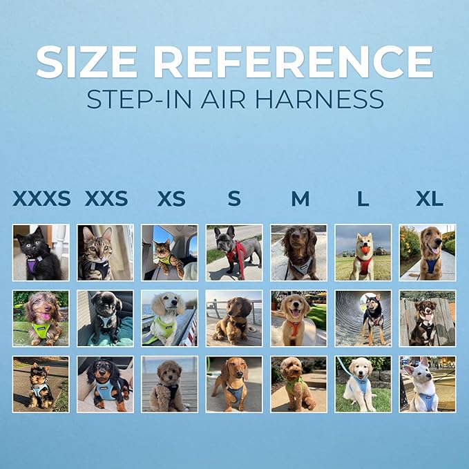 Best Pet Supplies Voyager Step-in Air Harness - All Weather Mesh, Reflective, No Pull Harness for Dogs, Cats - Secure with Hook & Loop Fastener, Buckle, Double D-Rings - Black, XXXS