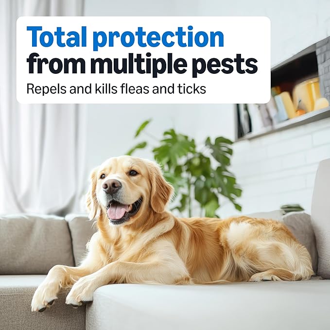 Amazon Basics Preventative Flea and Tick Topical Treatment for Dogs, Medium Dog (23-44 lbs), Fast Acting and Long Lasting, 3 Counts, Packaging May Vary