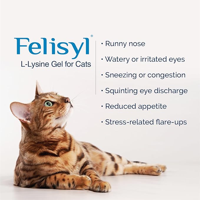 L-Lysine Gel for Cats & Kittens (5oz) – Immune System, Respiratory & Eye Health Support. Reduces Sneezing, Runny Nose & Watery Eyes. Daily Salmon-Flavor Supplement – Made in USA (2 Pack)