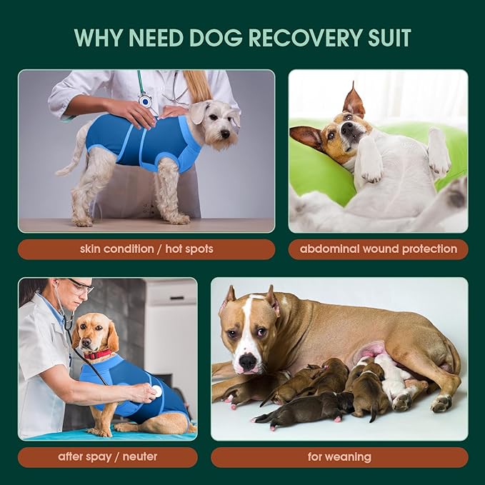 Kuoser Dog Recovery Suit Female, Dog Surgery Suit Male Neuter, Dog Body Suits After Surgery Anti Licking Pet Surgical Suit for Abdominal Wounds Skin Disease, Soft Dog Onesie Substitute Cone, Blue 2XL