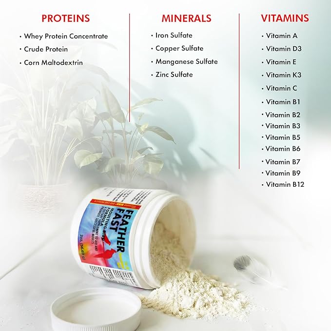 Morning Bird Feather Fast 4.5 Oz – Daily Multi-Vitamin for Growth & Molting Support – Promotes Healthy Feather Strength & Full Plumage – Supplement for All Adult Birds