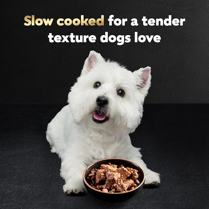Cesar Wet Dog Food Steak Lovers Variety Pack,Adult,Wet Food for Dogs with Real Meat,3.5 oz Easy Peel Trays,36 Count (Pack of 2)