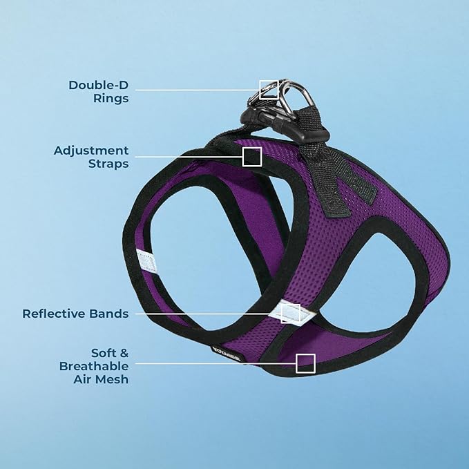 Best Pet Supplies Voyager Step-in Air Harness - All Weather Mesh, Reflective, No Pull Harness for Dogs, Cats - Secure with Hook & Loop Fastener, Buckle, Double D-Rings - Purple/Black Trim, XXS