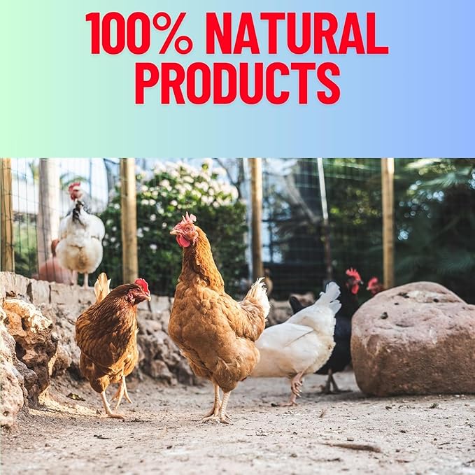 Red Stone + Lime stome + OysterShell Mix Grit Minerals, High Calcium Supplement, Promote Strong Bones, Better Digestion, Overall Well-Being for Pigeons, Small Cage Birds, Duck and Chickens 3 Pounds