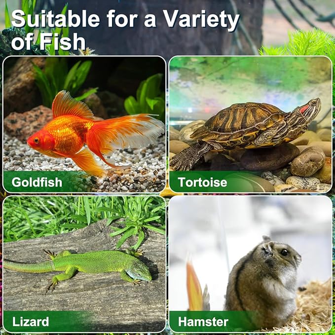 POPETPOP Portable Fish Tank Handheld Aquarium 5.90X4.33X3.74 Inch Transparent Turtle Box with Handle Small Plastic Fish Carrier for Travel and Pet Breeding