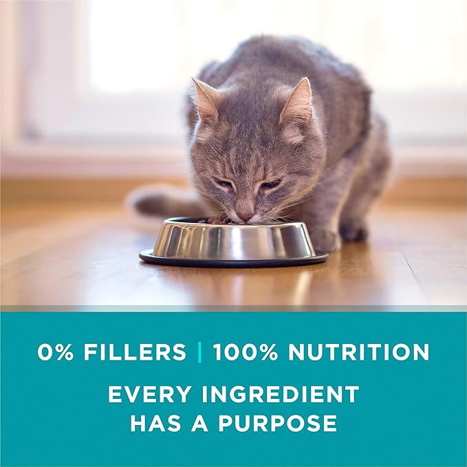 Purina ONE Natural, High Protein Cat Food, Salmon and Trout Recipe in Sauce - (Pack of 24) 3 oz. Pull-Top Cans