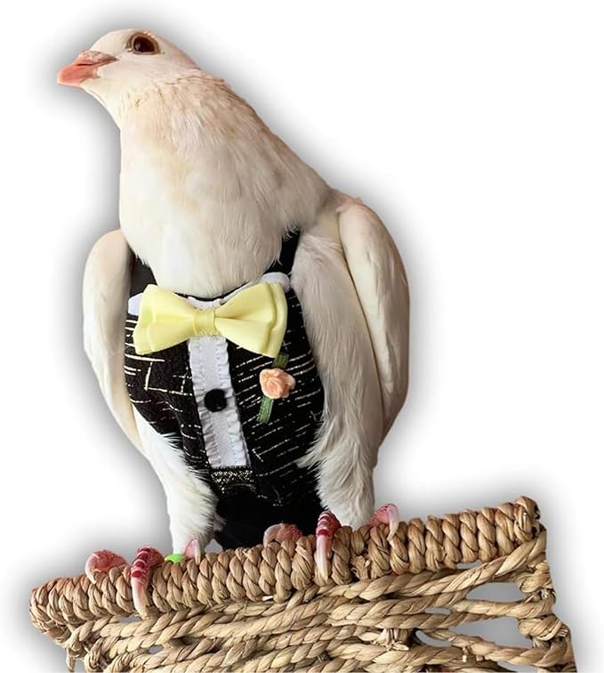 Bev's Bird Boutique Regular Flyper Adjustable Bird Diaper | Reusable, Washable Cloth | Comfort Fit for Parrot, Cockatiels, & Other Small Birds | Fashionable Avian Accessories, Tuxedo, Size 14