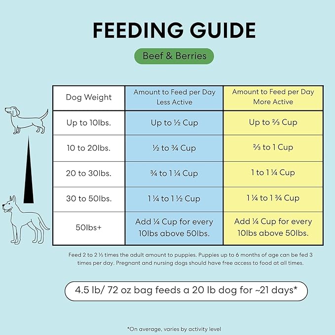 The Pets Table Air Dried Grain Free Dog Food for Dogs Large, Medium and Small | Puppy Dog Food, Adult Dog Food, Senior Dog Food | Beef & Berries 4.5 lbs / 72 oz Bag