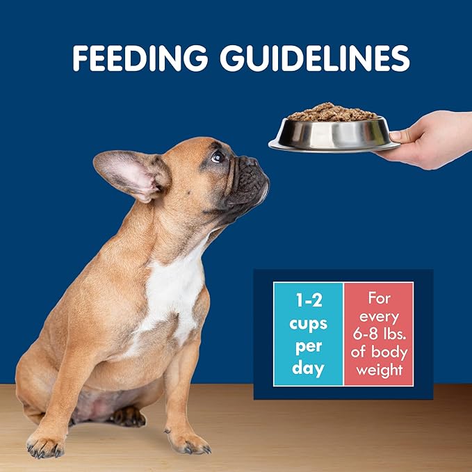 Blue Buffalo Delights Natural Adult Small Breed Wet Dog Food Cups, in Gravy, Prime Rib, NY Strip, and Filet Mignon 3.5-oz (24 Pack- 8 of Each Flavor)