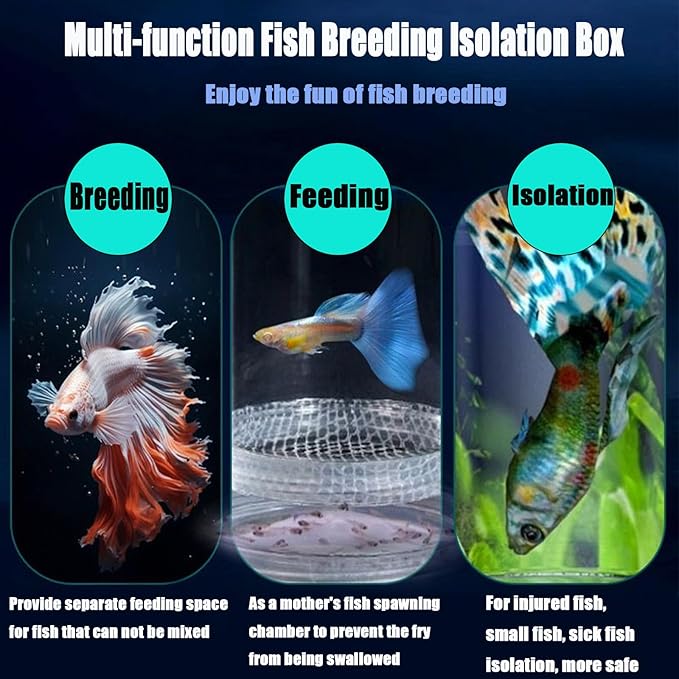 Breeder Box for Fish Tank, Plastic Aquarium Breeding Chamber, Floating Mesh Isolation Hatchery Incubator for Small Fish, Betta Shrimp Clownfish Guppy - Adjustable Nursery Tank Divider (Blue, Medium)