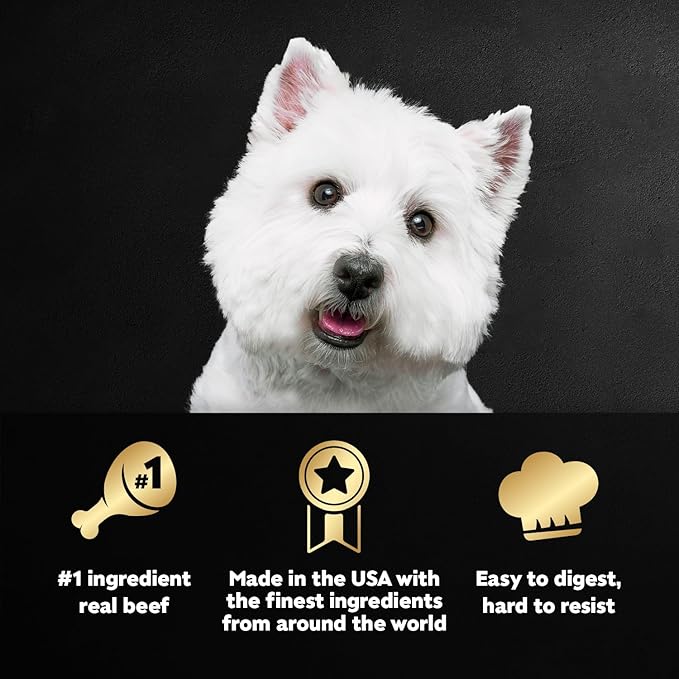 Cesar Loaf & Topper in Sauce Wet Dog Food, Angus Beef Flavor with Bacon & Cheese, Wet Food for Dogs, 3.5 oz Easy Peel Trays, 24 Count