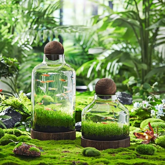 Glass Aquarium, Miniature Landscape Terrarium Glass Fish Tank with Wooden Base, Modern Betta Fish Tank, Small Aquarium for Home and Office Decoration,L