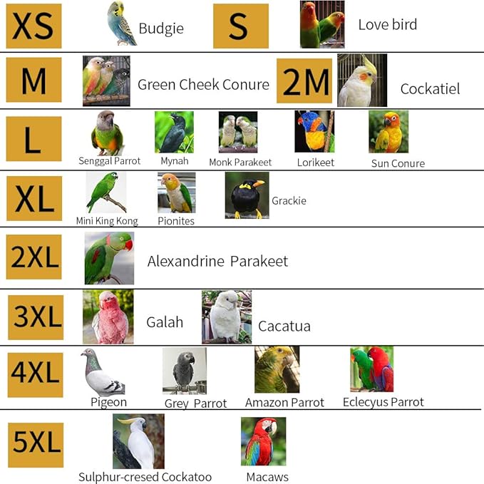 Bird Clothes Parrot Diapers Bird Flight Suits, Reusable Waterproof Diapers pet Bird Supplies (with Rope, 2XL)