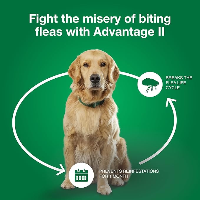 Advantage II Medium Dog, 4 pack