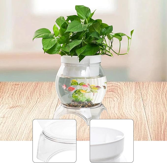 Desktop Fish Bowl Aquarium Hydroponic Planter Creative for Home Landscaping for Living Room with Stand Transparent 2 in 1, 20cmx26.2cm