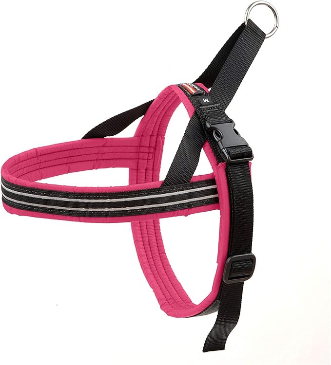 ComfortFlex Sport Dog Harness – No-Choke, Fully Padded, Non-Chafing Harness with Control Handle – Reflective, Lightweight, Adjustable for Active Dogs - Petite, Berry