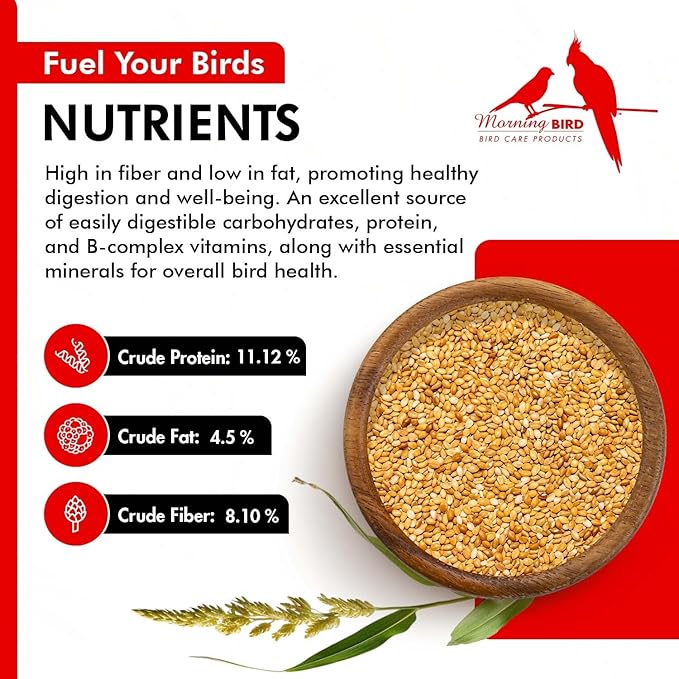 Morning Bird Golden German Millet 18 lbs (2-Pack, 9 lbs Each) – Natural Millet Seed for Birds – Natural Protein & Fiber Source – Easy-to-Digest Daily Nutrition for All Bird Types