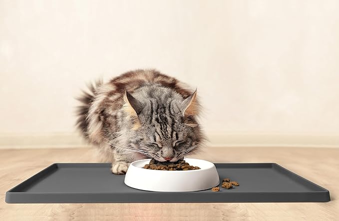 CatGuru Cat Bowls, Whisker Friendly Food Bowl for Indoor Cats, Reliefs Whisker Fatigue, Wide Kitten Dish, Non Slip Pet Dishes, Shallow Pet Plates (Marshmallow)