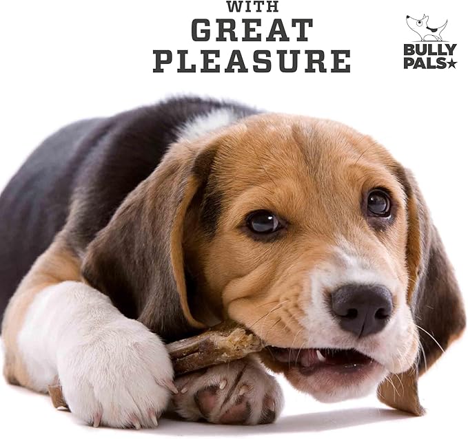 6" Standard Bully Sticks for Small to Medium Dogs - 10 Pack - Long Lasting, All Natural, Single Ingredient, Easily Digestible, Beef Dog Treats and Rawhide Free Dental Chews for Dogs