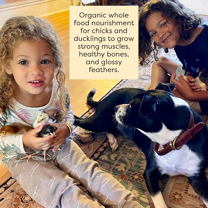 Scratch and Peck Feeds Whole Grain Starter Mash Chicken and Duck Feed - 40 lbs Bag - Corn-Free and Soy-Free - 20.5% Protein, Certified Organic and Non-GMO Project Verified Chicken Food