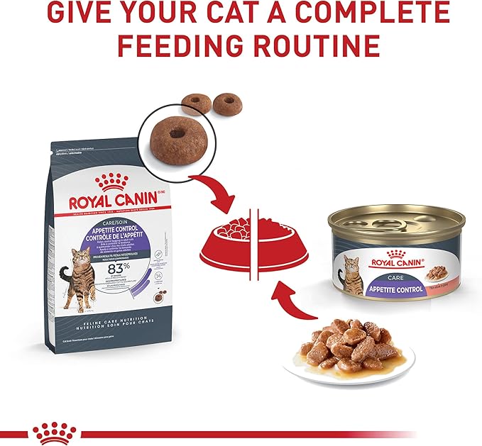 Royal Canin Feline Care Nutrition Appetite Control Care Adult Dry Cat Food, 14 lb Bag