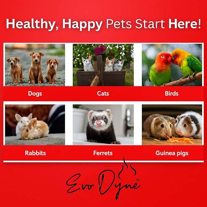 Styptic Powder for Dogs, Cats, and Birds (2 oz) by Evo Dyne | Fast-Acting Blood Stop for Pets | Quick Stop Bleeding Powder for Dog Nail Clipping, Grooming, Cuts and More (1-Pack)