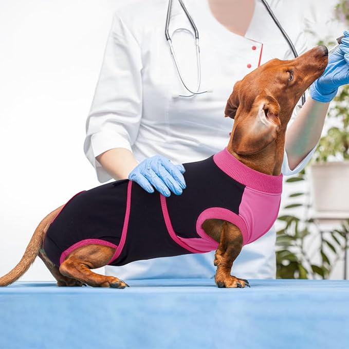 Kuoser Recovery Suit for Dogs After Surgery, Soft Dog Surgery Suit Female Male, Breathable Pet Surgical Recovery Shirt, Anti Licking Dog Onesie for Abdominal Wounds Cone Alternatives, Black XL