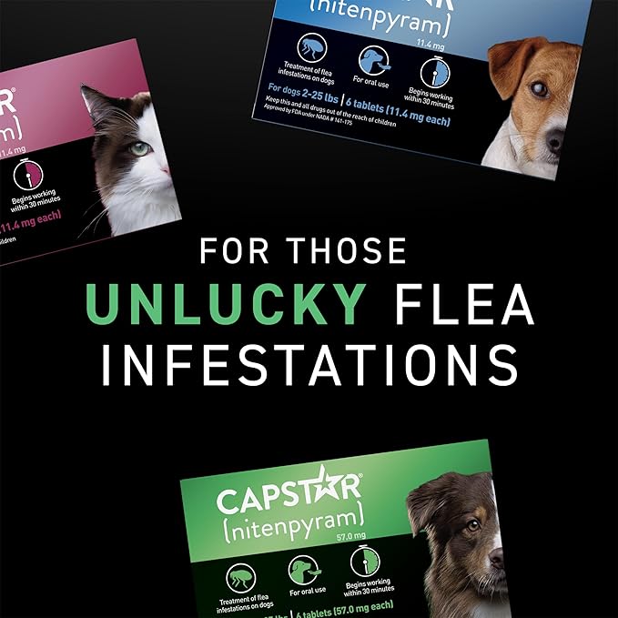 Capstar (Nitenpyram) Fast-Acting Oral Flea Treatment for Dogs 2-25 Lbs, Vet-Recommended Medication Tablets, Flea Tablets for Dogs Start Killing in 30 Minutes, 12 Doses (Includes Two 6-Count Boxes)