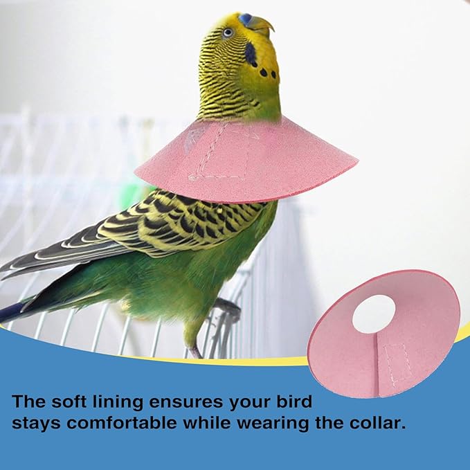 4Pack Bird Cone Collar, Anti-Grab Feather Plucking Wound Healing Safety Elizabethan Collar, Protective Recovery Cones for Budgerigar Cockatiel Lovebirds Cockatoo Parrots (M)