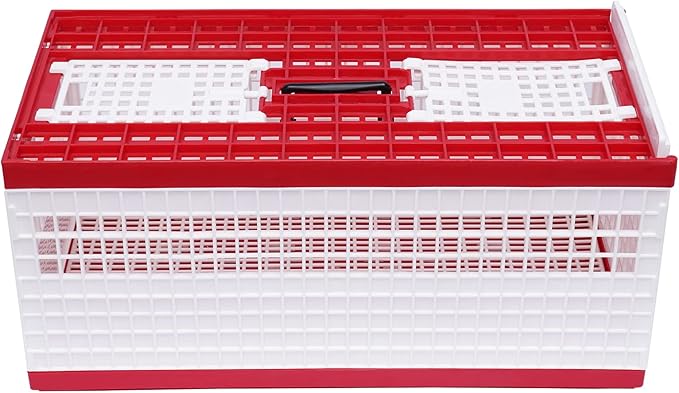 Racing Pigeon Carrier Box Bird Training Basket with 2 Side Doors 2 Top Doors Box