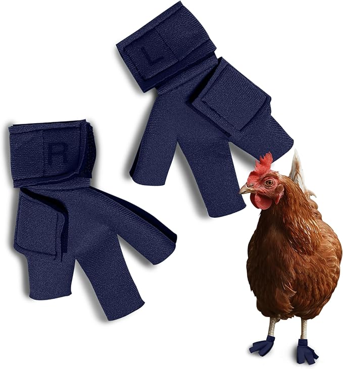 Chicken Shoes for Injured Feet – Protective Neoprene Footwear for Chicken, Open-Toe Design for Bumblefoot Relief, Made in USA - Large, 4" Max. Inside Width, Navy
