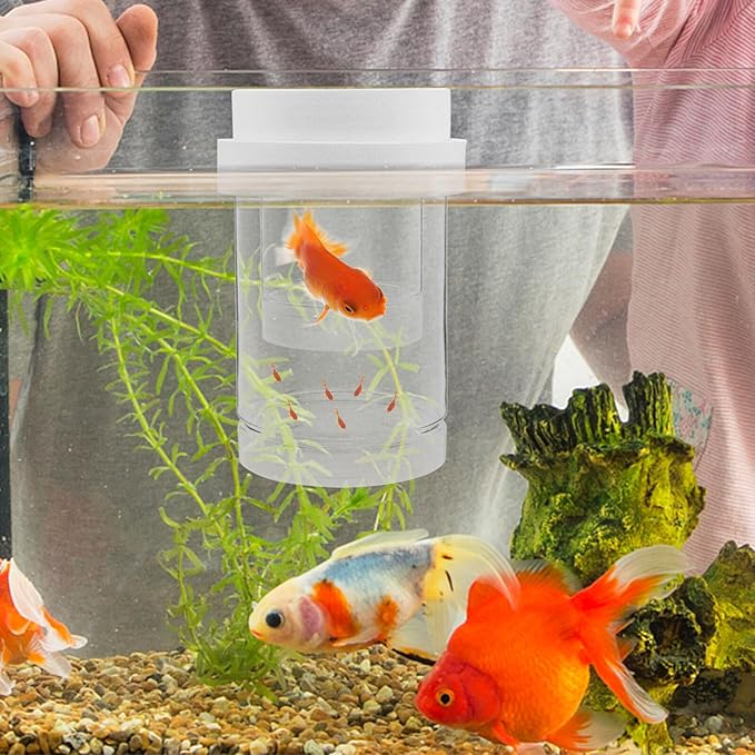Beaupretty Aquarium Floating Fish Breeder Box Small Incubator with Coarse and Fine Mesh Nets White Set Isolation Hatchery for Guppy Betta Shrimp Fry Tank Separation