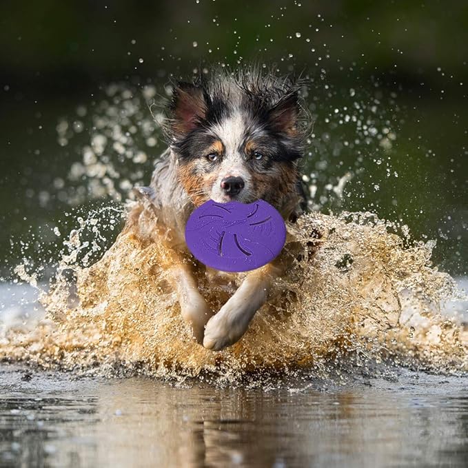 Indestructible Flying Discs, Soft Interactive Catch & Fetch Toys for Small & Medium Dogs, Floats in Water & Safe on Teeth, 7.48 Inch (Small, Yellow)
