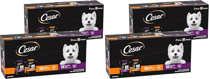 Cesar Filets in Gravy Wet Dog Food Filet Mignon Flavor and Rotisserie Chicken Flavor Variety Pack, Wet Food for Dogs, 1.76 oz. Mini-Pouches, 20 Count (Pack of 4)