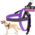 ComfortFlex Sport Dog Harness – No-Choke, Fully Padded, Non-Chafing Harness with Control Handle – Reflective, Lightweight, Adjustable for Active Dogs - XLarge, Purple