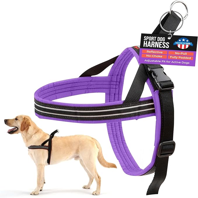 ComfortFlex Sport Dog Harness – No-Choke, Fully Padded, Non-Chafing Harness with Control Handle – Reflective, Lightweight, Adjustable for Active Dogs - XLarge, Purple