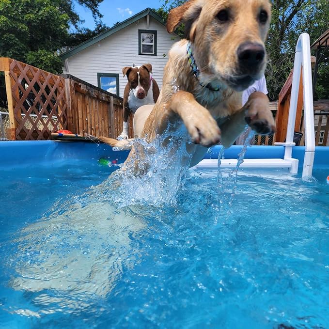PetStep Dog Ramp for Pools - (Standard Legs, Khaki/Beige)- Small and Large Dog Pool Ramp for Above-Ground and In-Ground Pools